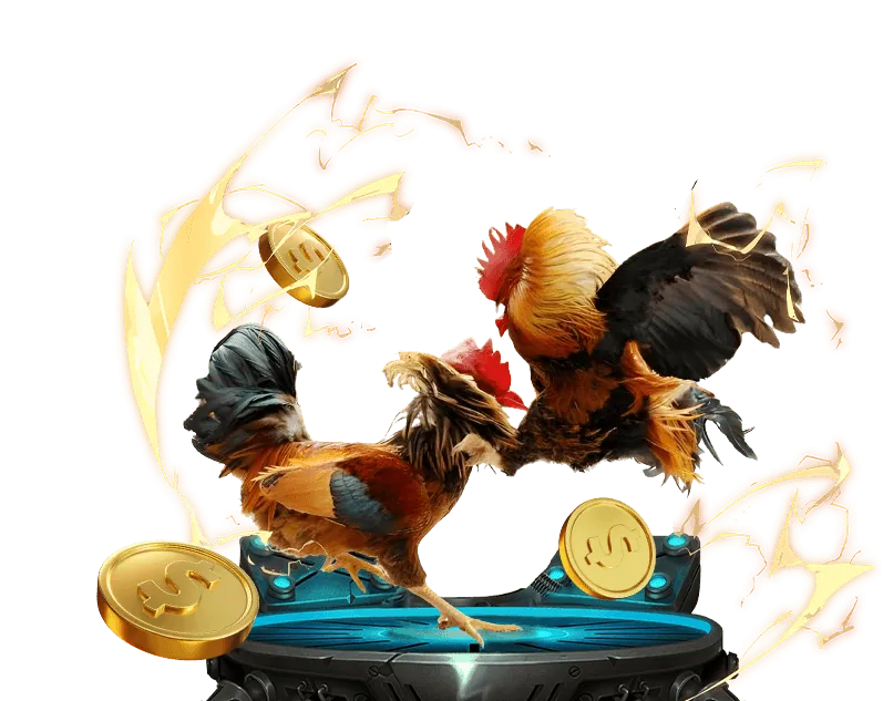 Các chương trình khuyến mãi hấp dẫn tại 95vn1